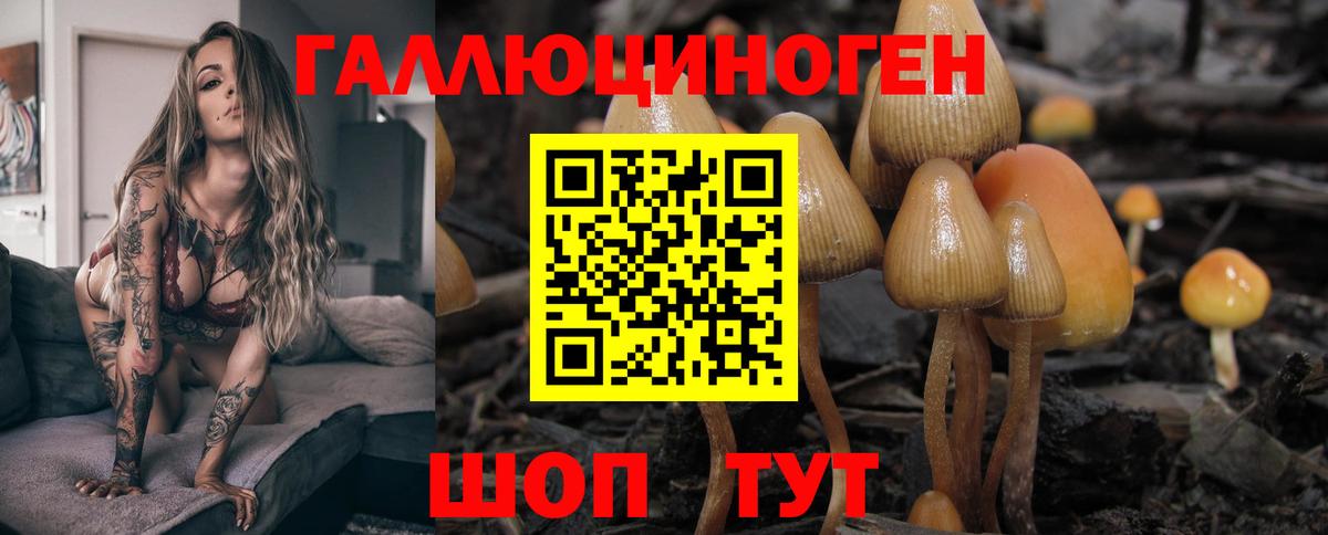 Магнитогорск  наркота  Вход с VPN  Галлюциногенные грибы Cubensis 